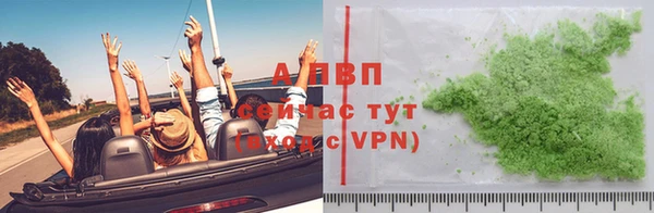 прущие грибы Касимов