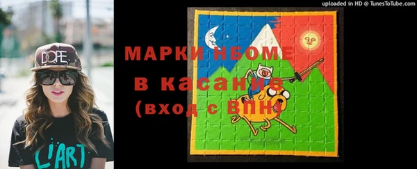мдпв Карпинск