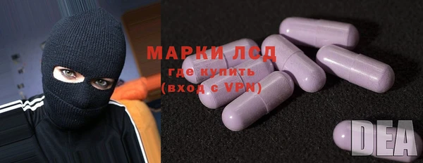 прущие грибы Касимов