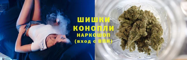 прущие грибы Касимов