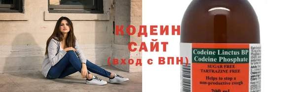 мдпв Карпинск