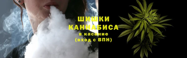 мдпв Карпинск