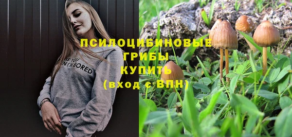 твердый Киреевск