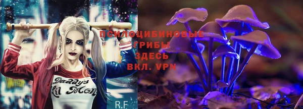 сатива Карталы