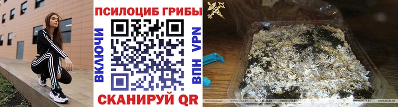 Псилоцибиновые грибы прущие грибы Коломна